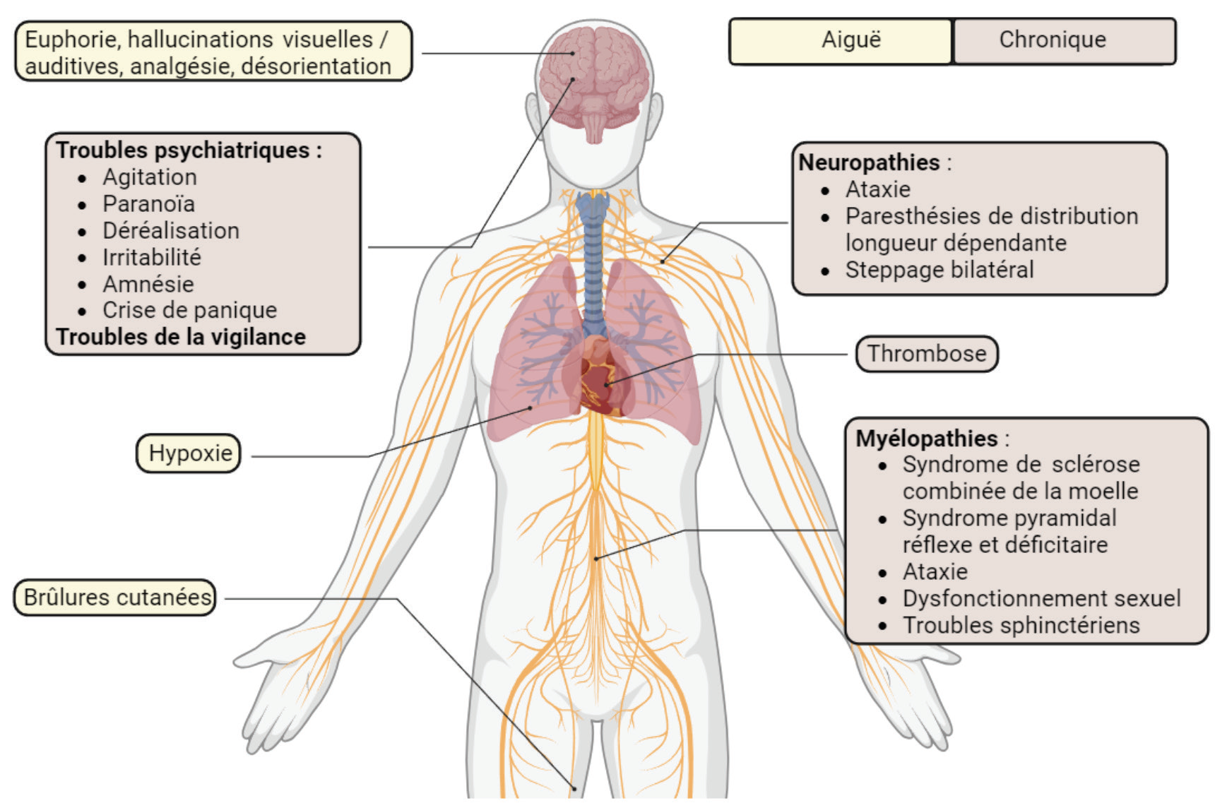 Protoxyde Azote L'intoxication au protoxyde d'azote : un nouveau défi pour la biologie ...